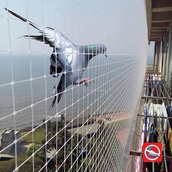 Pet Safety Nets installation image B4