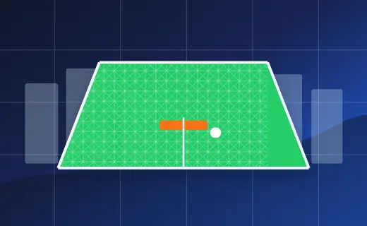 Cricket net illustration